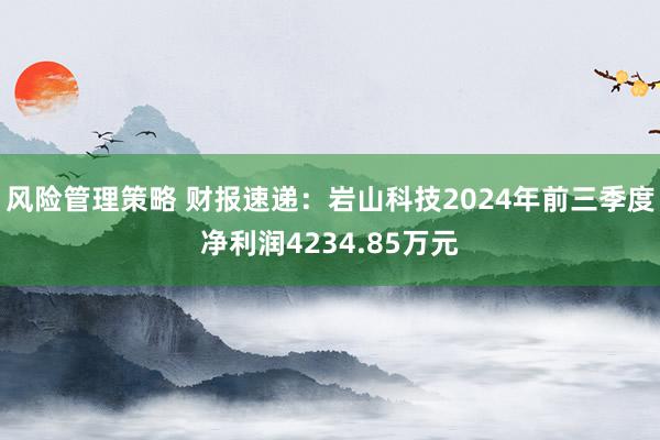 风险管理策略 财报速递：岩山科技2024年前三季度净利润4234.85万元