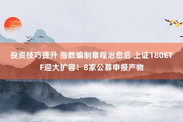 投资技巧提升 指数编制章程治愈后 上证180ETF迎大扩容！8家公募申报产物