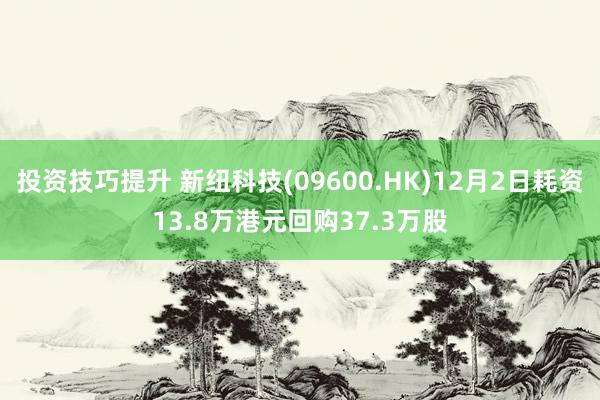 投资技巧提升 新纽科技(09600.HK)12月2日耗资13.8万港元回购37.3万股