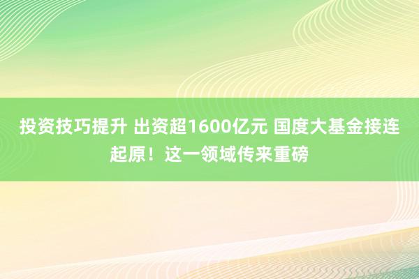 投资技巧提升 出资超1600亿元 国度大基金接连起原！这一领域传来重磅