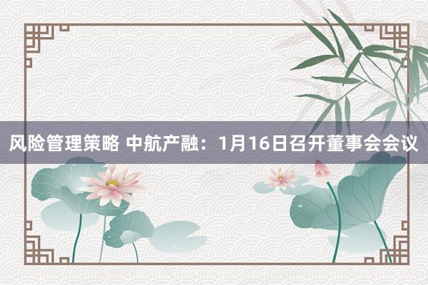 风险管理策略 中航产融：1月16日召开董事会会议