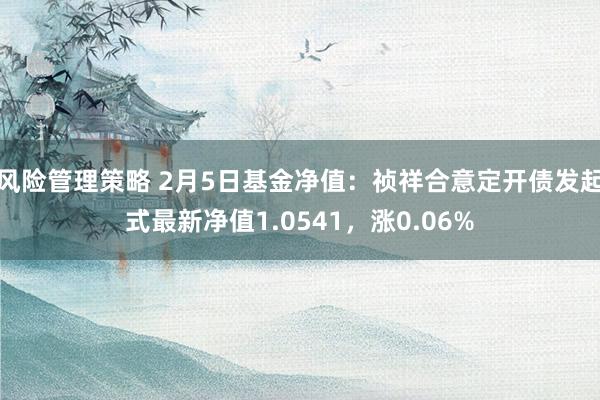 风险管理策略 2月5日基金净值：祯祥合意定开债发起式最新净值1.0541，涨0.06%