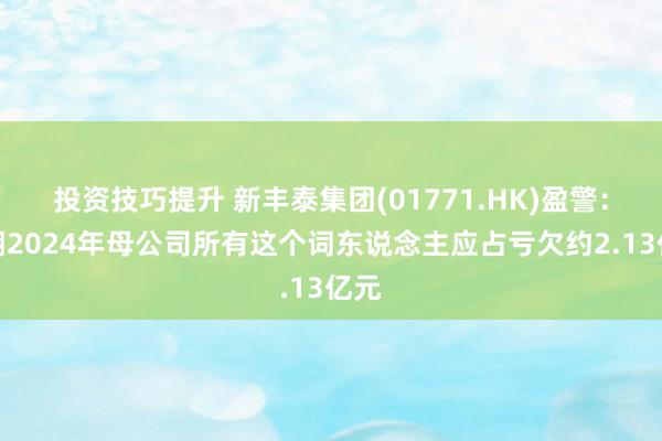 投资技巧提升 新丰泰集团(01771.HK)盈警：预期2024年母公司所有这个词东说念主应占亏欠约2.13亿元